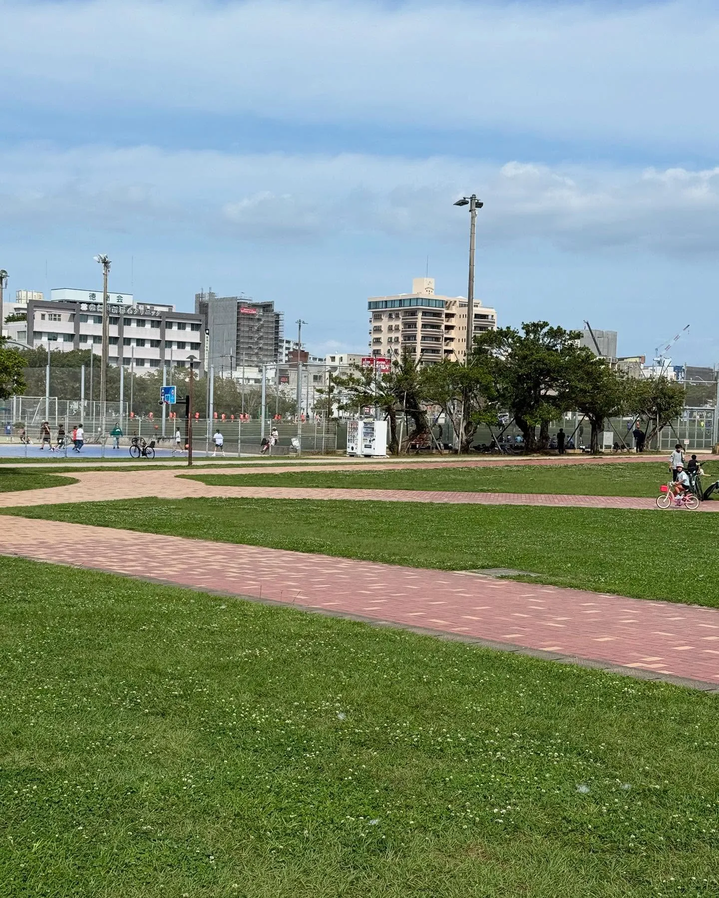 沖縄でよく見かけるデイゴの花✨