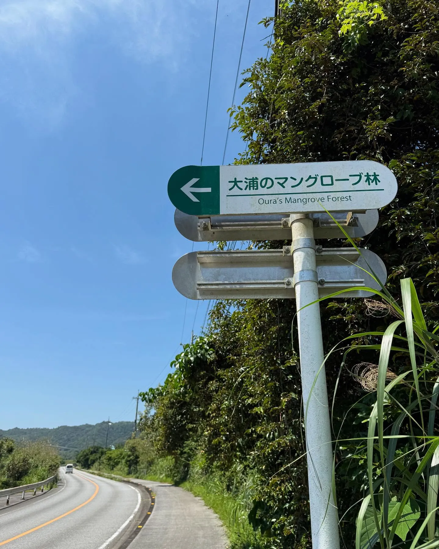 名護のやんばるにも沈下橋があります。